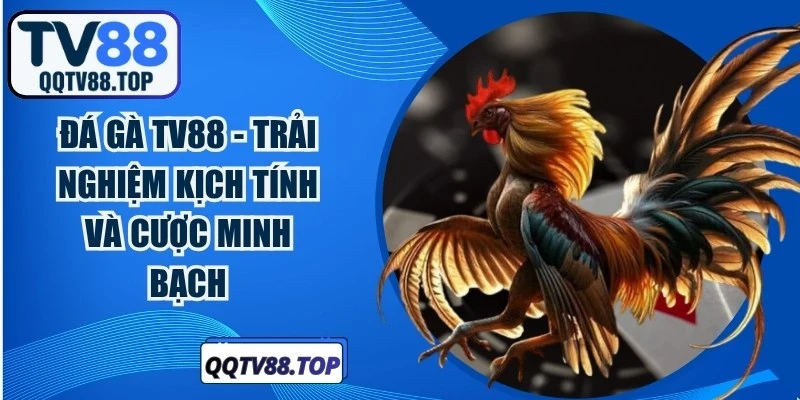 Đá Gà TV88